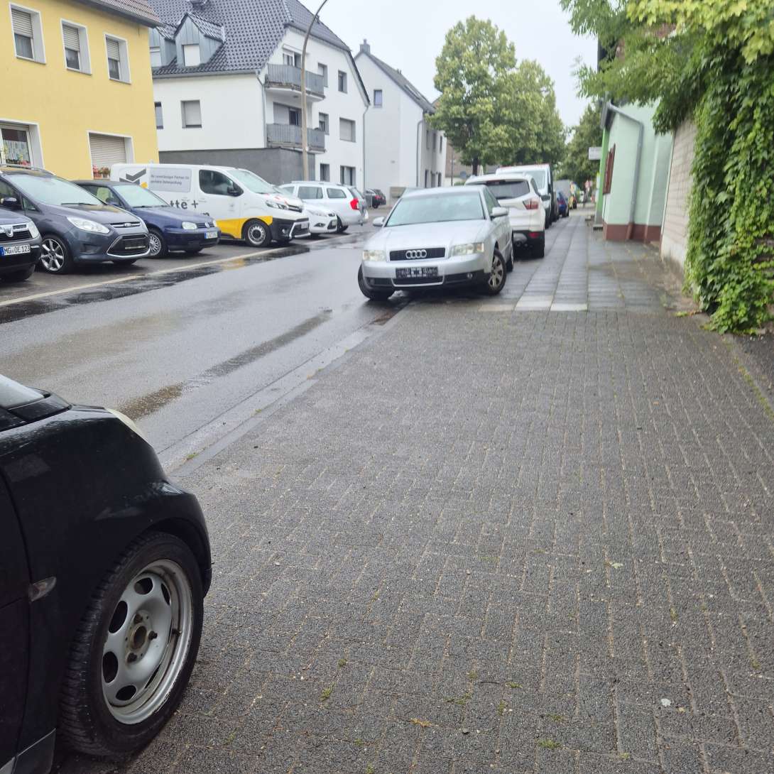 Bild zu gemeldetem Anliegen vom *2025-07-09 09:31:52