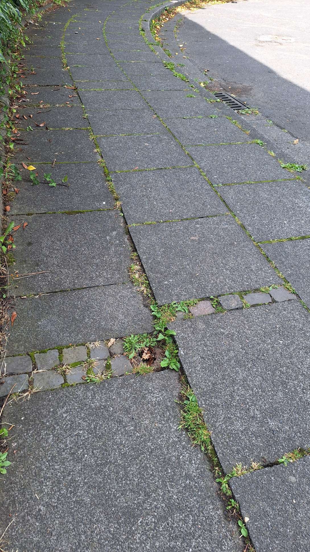 Bild zu gemeldetem Anliegen vom *2025-07-15 12:50:35