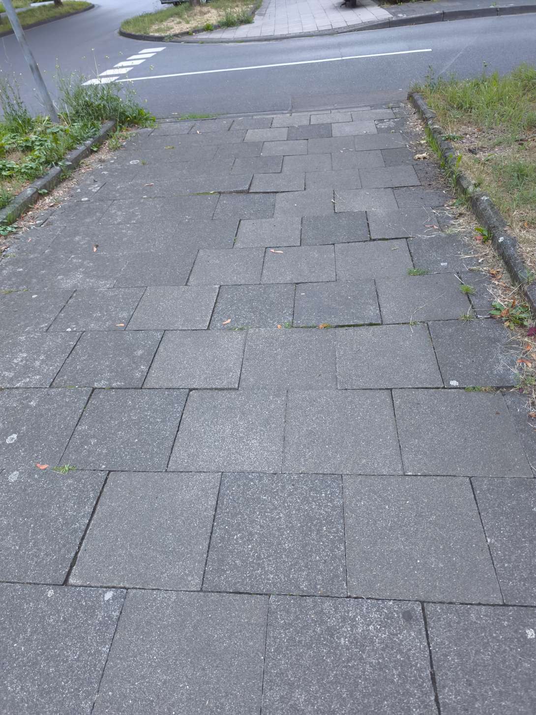 Bild zu gemeldetem Anliegen vom *2025-07-27 21:38:21