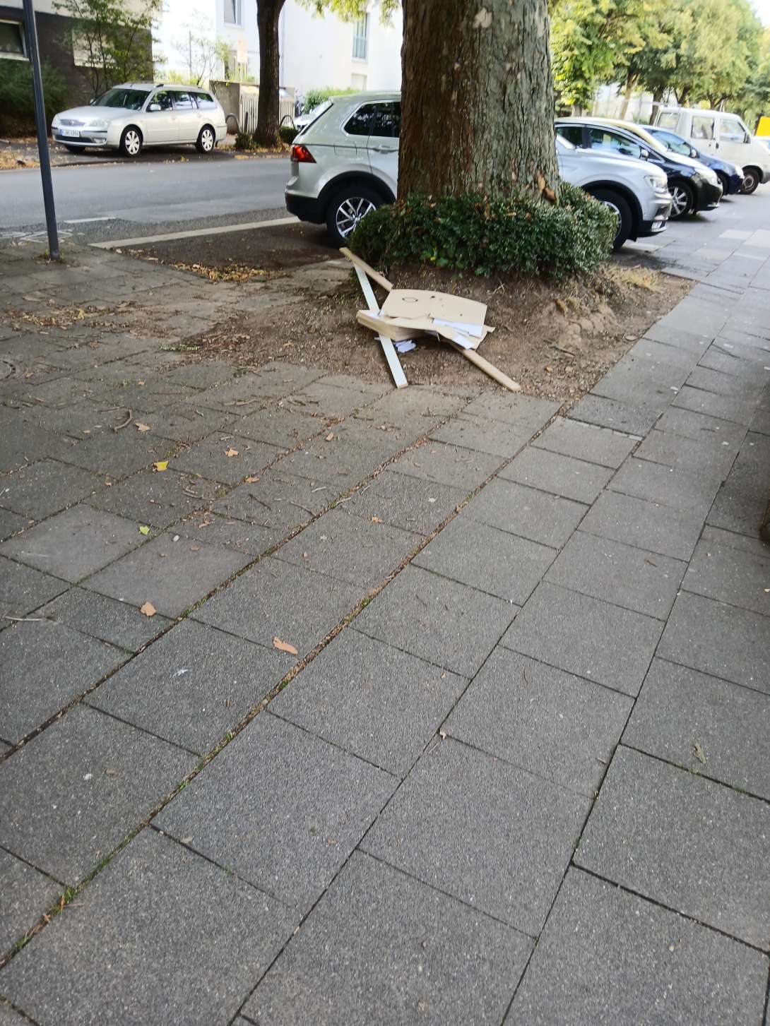 Bild zu gemeldetem Anliegen vom *2025-07-28 08:59:40
