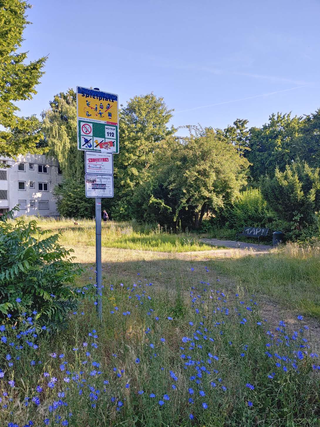 Bild zu gemeldetem Anliegen vom *2025-07-14 12:32:22