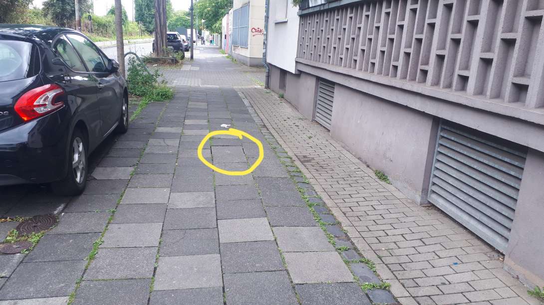 Bild zu gemeldetem Anliegen vom *2025-07-21 10:33:17