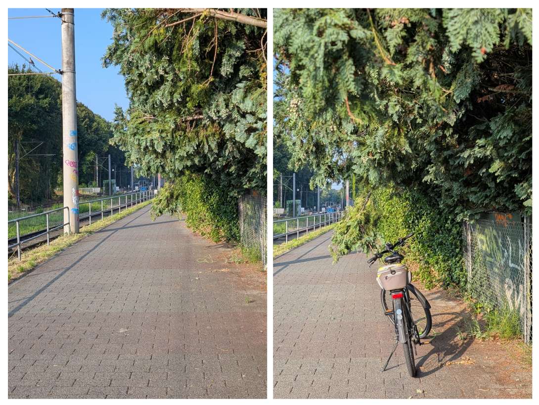 Bild zu gemeldetem Anliegen vom *2025-07-25 11:36:33