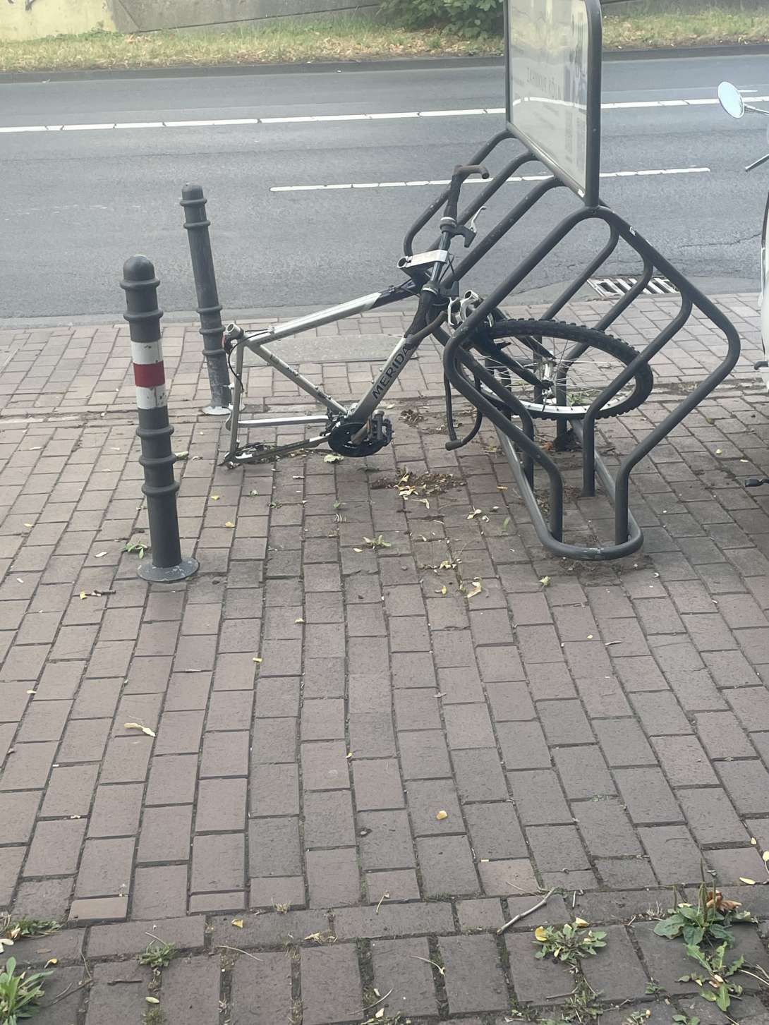 Bild zu gemeldetem Anliegen vom *2025-07-25 09:30:09