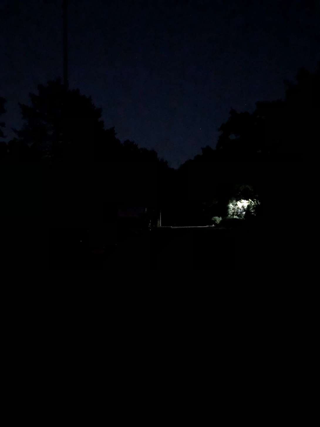 Bild zu gemeldetem Anliegen vom *2025-07-02 00:14:23