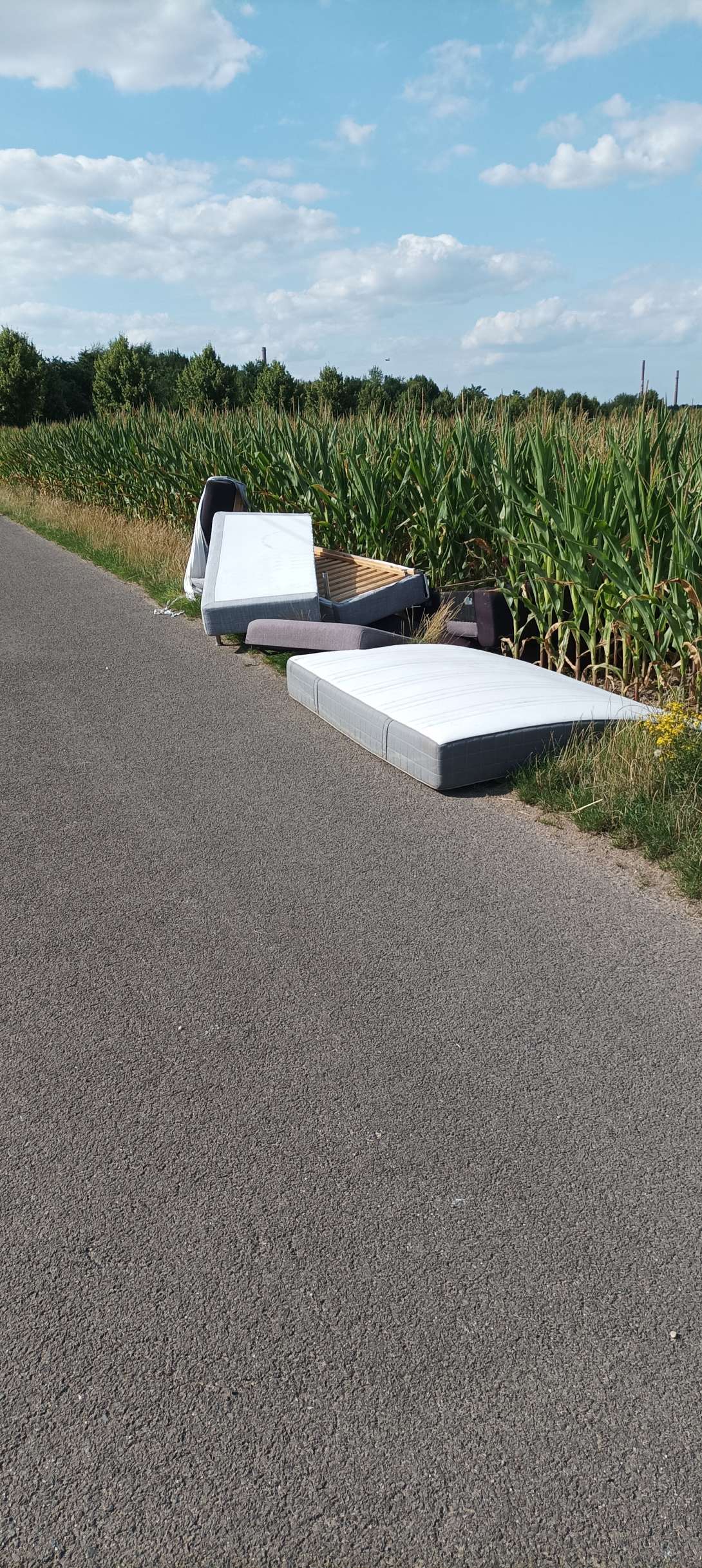 Bild zu gemeldetem Anlieim Feld hinter dem Gilleshof wurde wilder Müll abgeladen.gen vom *2025-07-18 12:32:12
