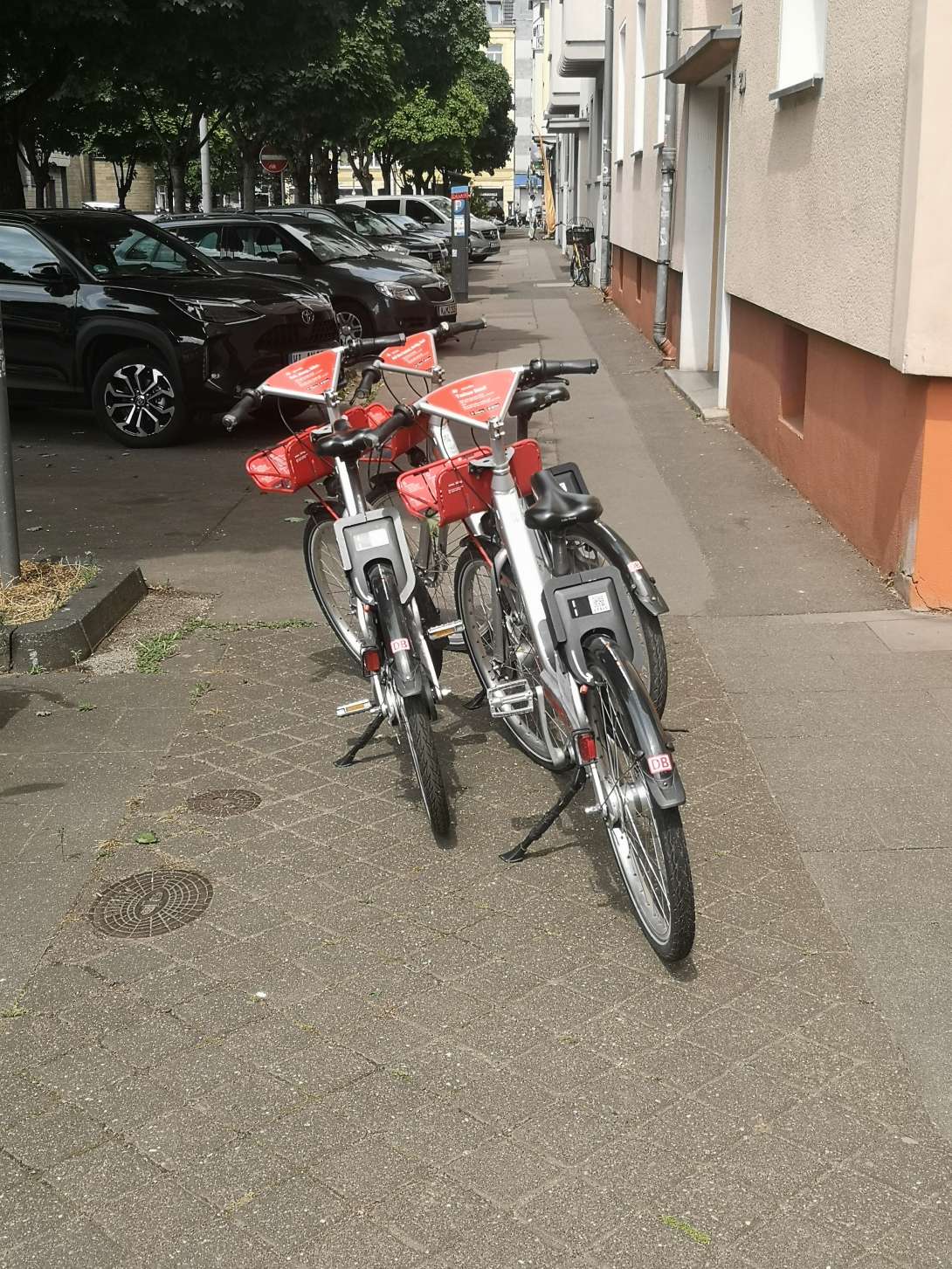 Bild zu gemeldetem Anliegen vom *2025-07-19 12:07:57