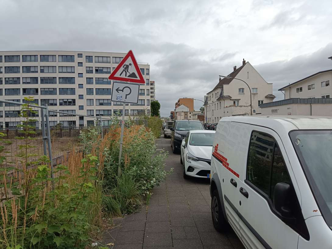 Bild zu gemeldetem Anliegen vom *2025-08-04 10:34:19
