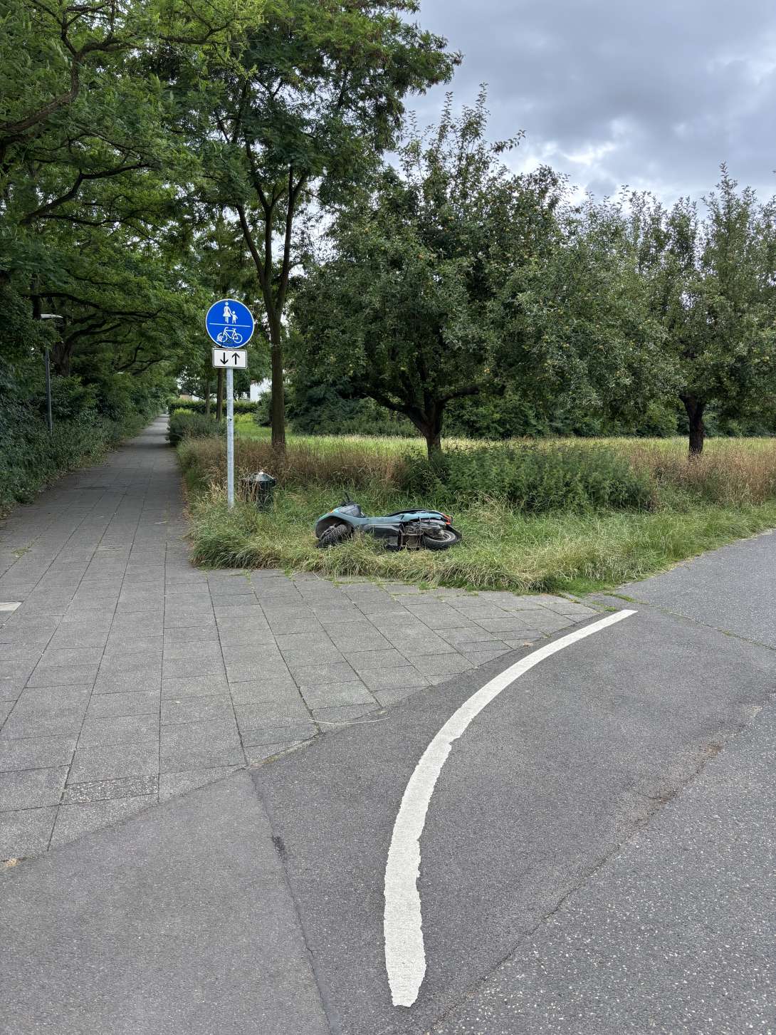 Bild zu gemeldetem Anliegen vom *2025-07-08 10:28:14