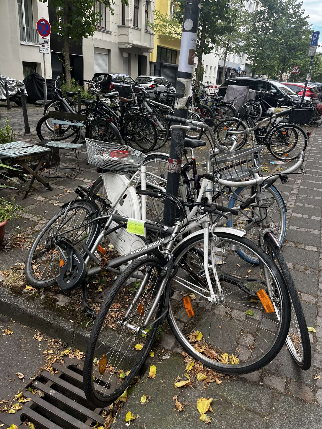 Bild zu gemeldetem Anliegen vom *2025-07-05 18:27:31
