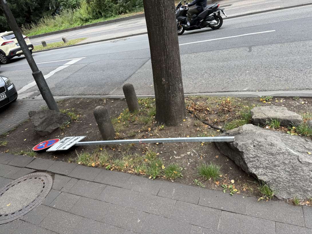 Bild zu gemeldetem Anliegen vom *2025-07-24 11:53:39