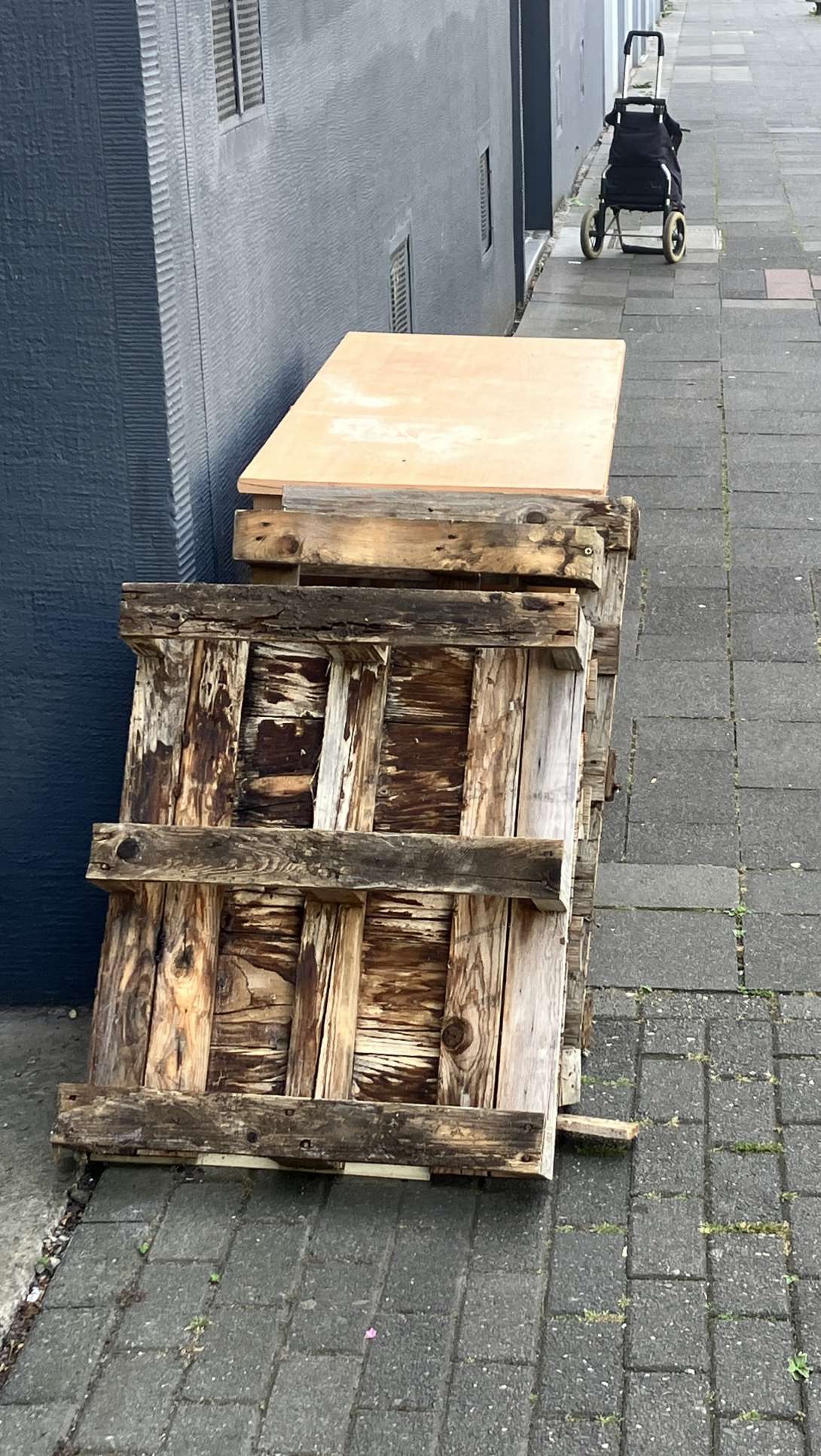 Bild zu gemeldetem Anliegen vom *2025-07-19 12:28:09
