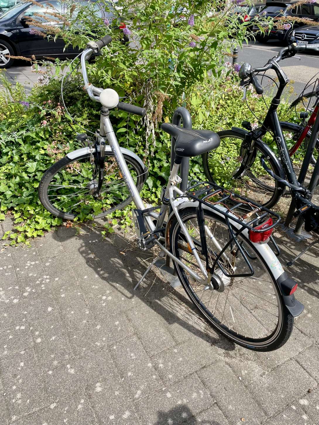 Bild zu gemeldetem Anliegen vom *2025-07-18 15:31:19