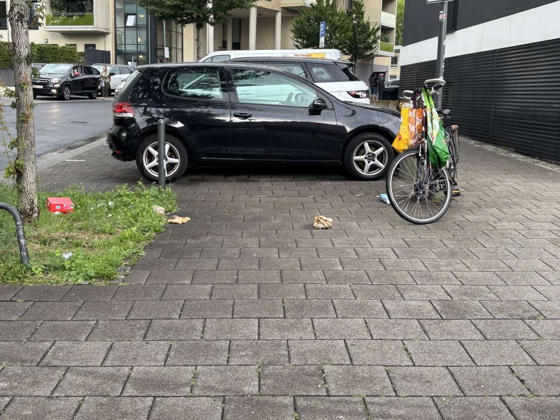 Bild zu gemeldetem Anliegen vom *2025-08-07 09:11:57