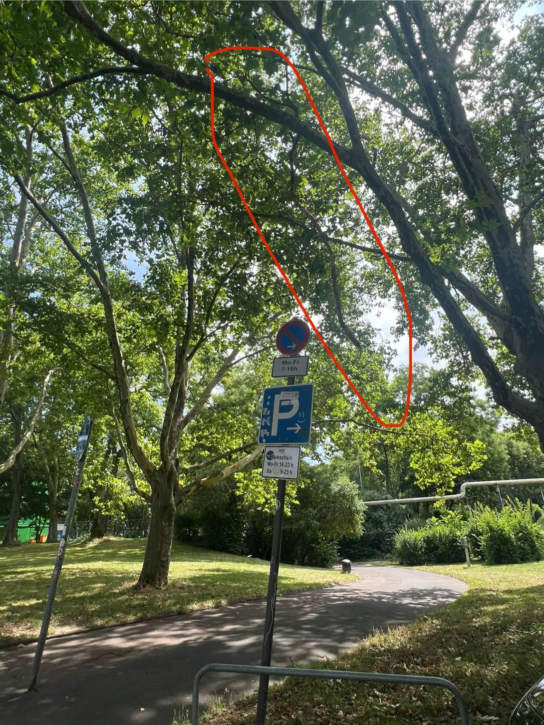 Bild zu gemeldetem Anliegen vom *2025-07-19 18:11:53