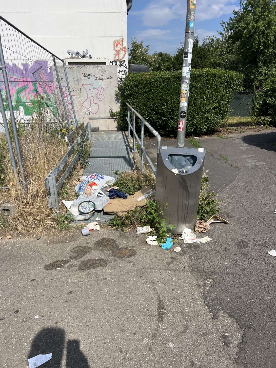 Bild zu gemeldetem Anliegen vom *2025-07-14 12:37:32