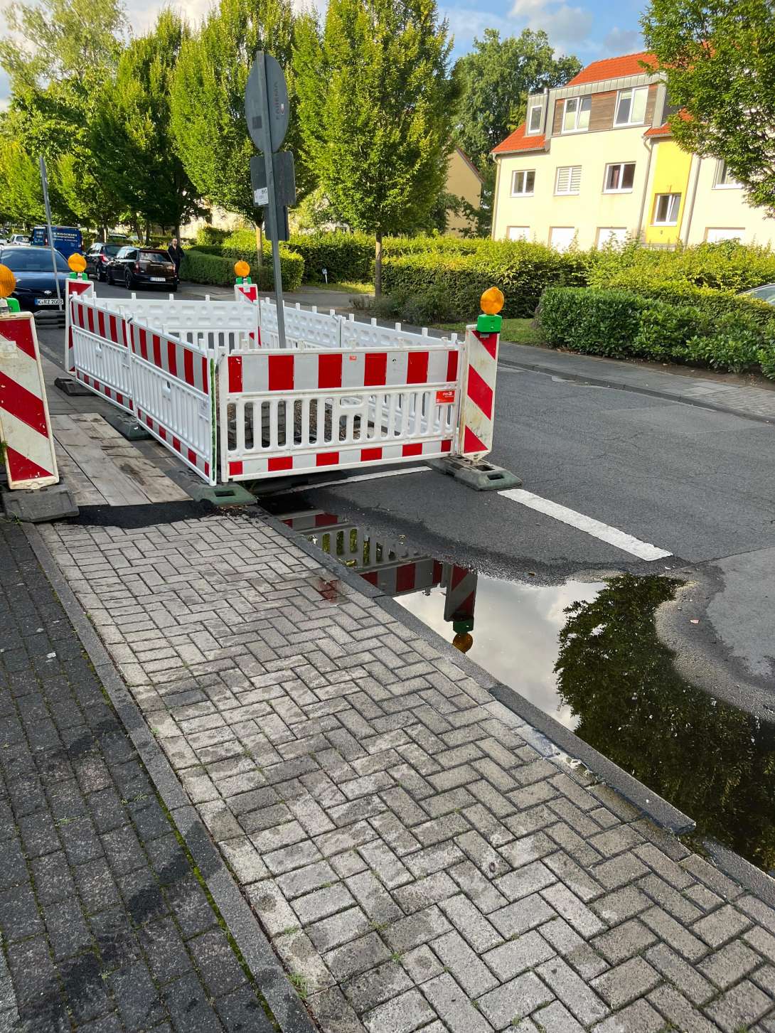 Bild zu gemeldetem Anliegen vom *2025-07-31 10:58:51
