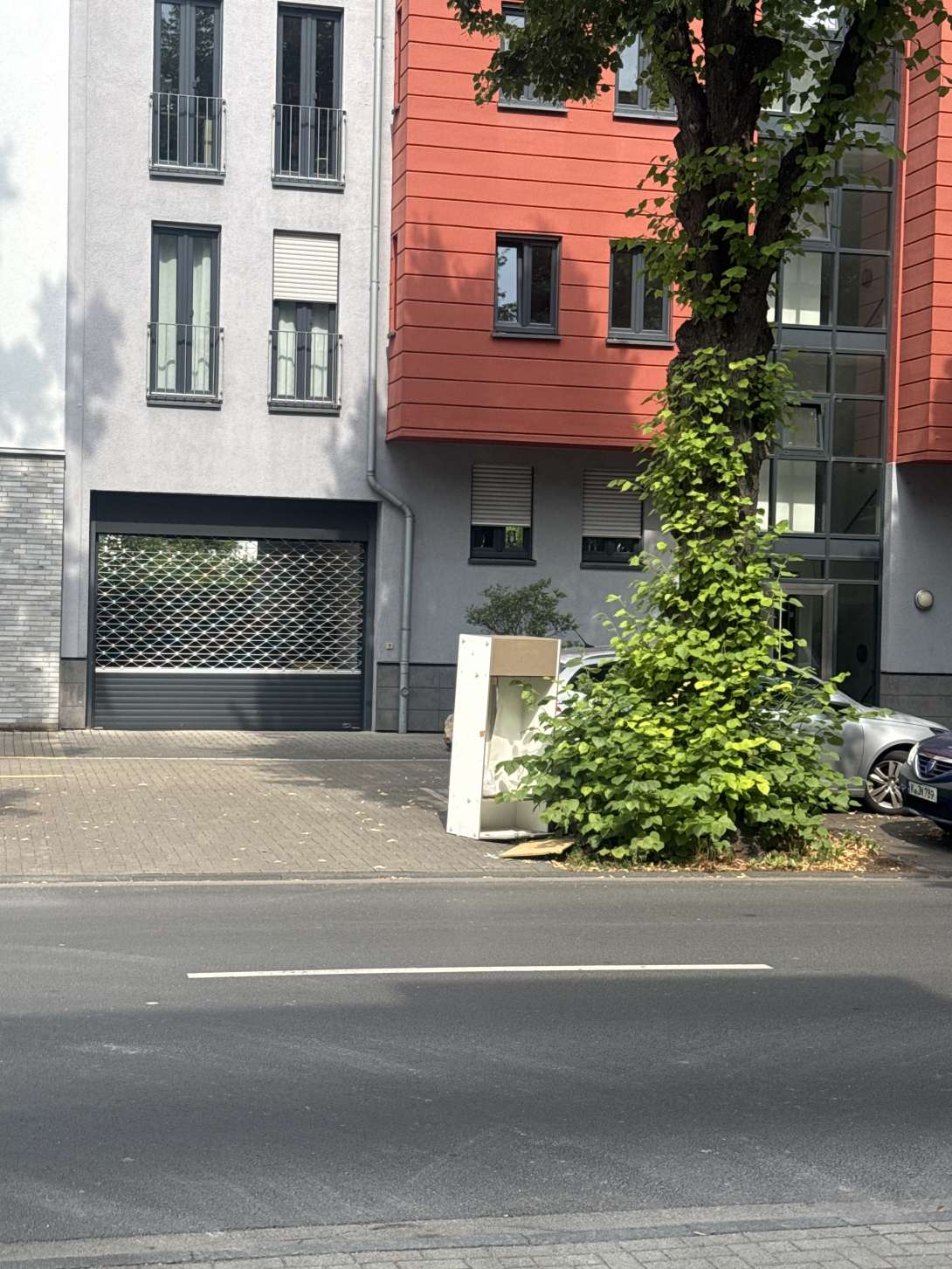 Bild zu gemeldetem Anliegen vom *2025-07-24 11:39:18