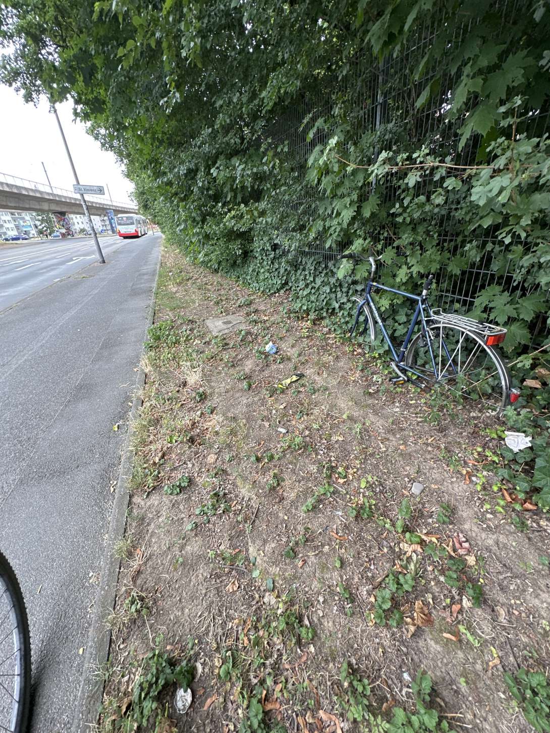 Bild zu gemeldetem Anliegen vom *2025-07-14 10:02:37