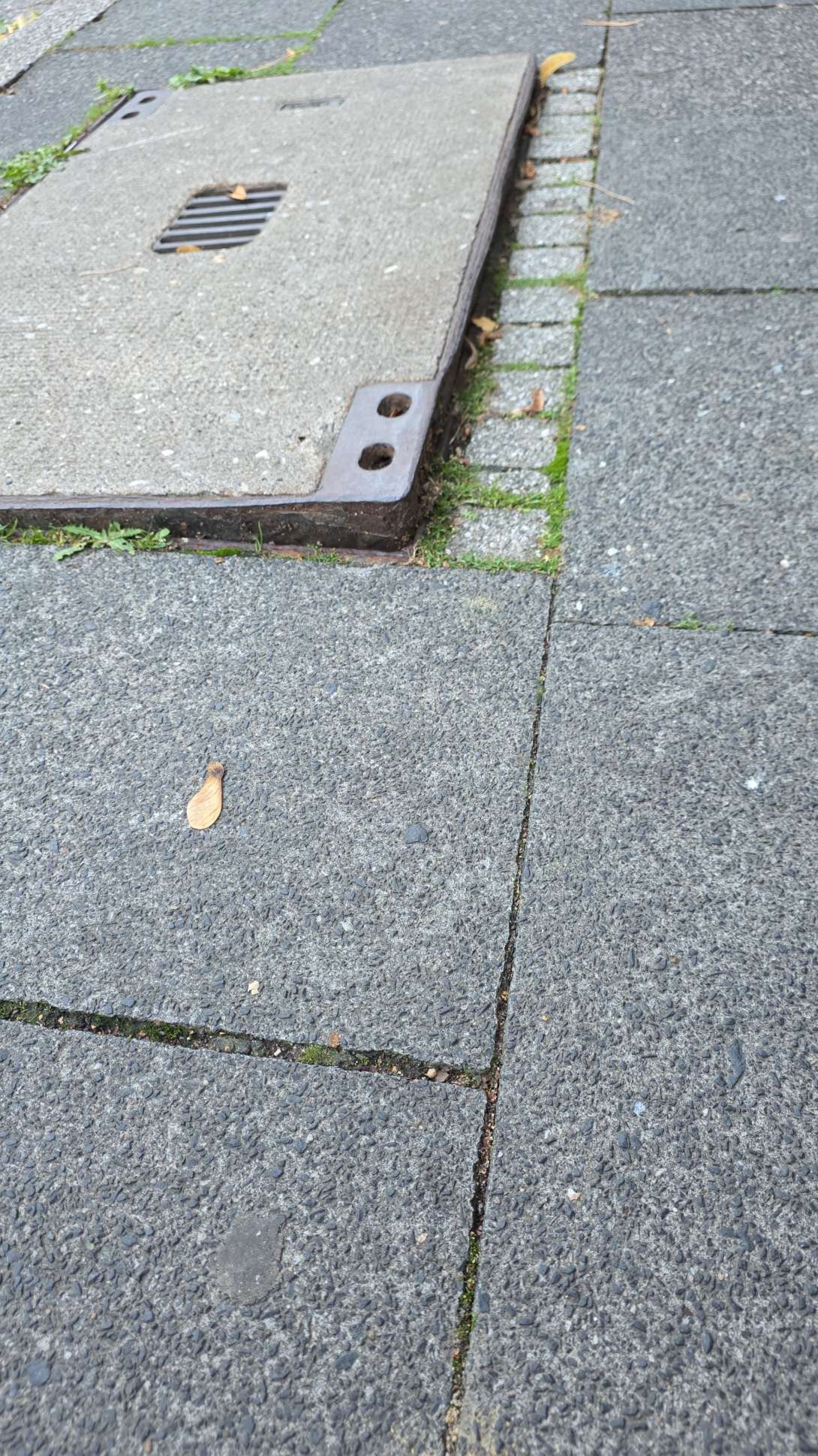 Bild zu gemeldetem Anliegen vom *2025-08-03 21:53:06