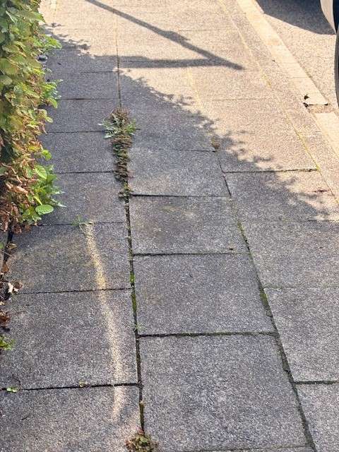 Bild zu gemeldetem Anliegen vom *2025-08-03 18:00:49