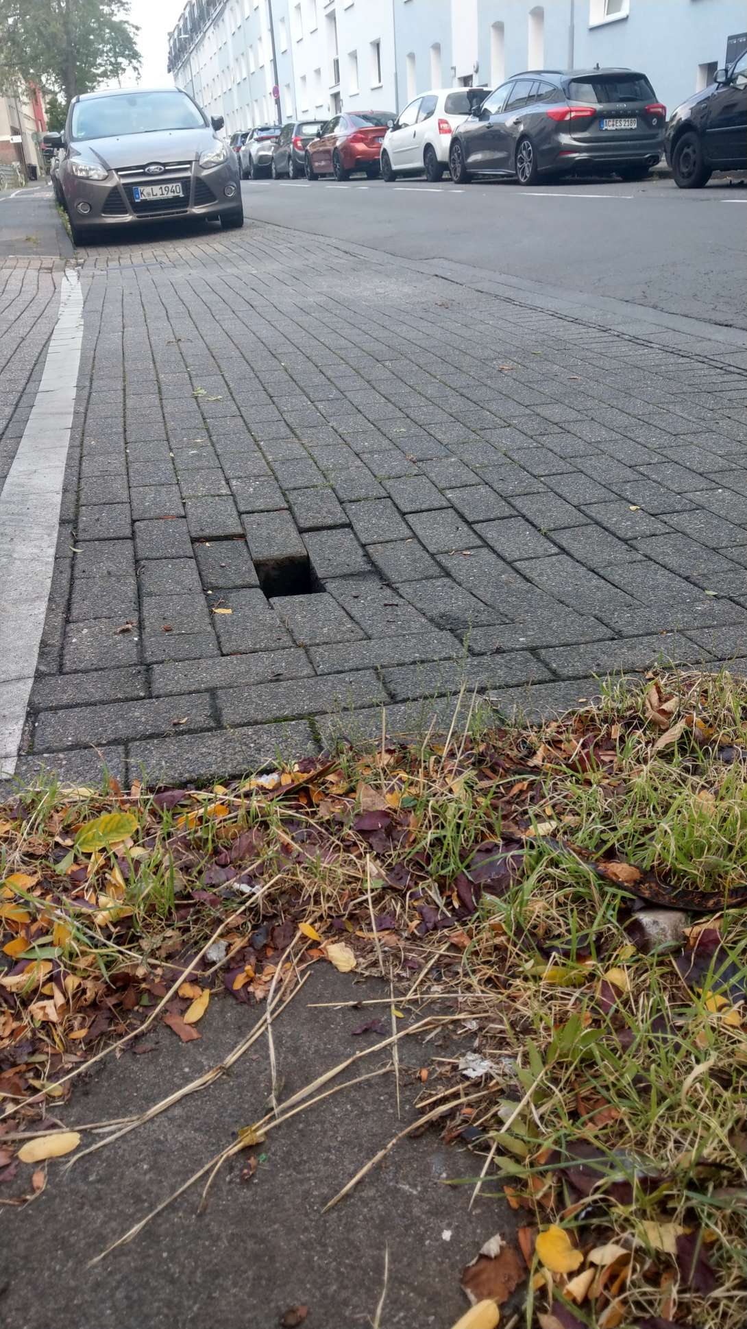 Bild zu gemeldetem Anliegen vom *2025-08-30 10:13:13