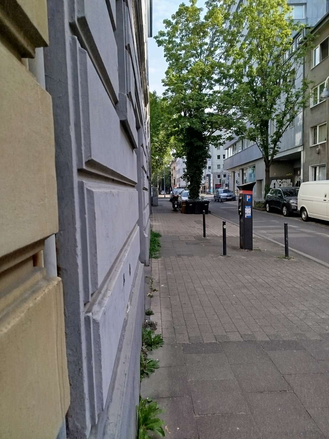 Bild zu gemeldetem Anliegen vom *2025-08-14 13:57:52