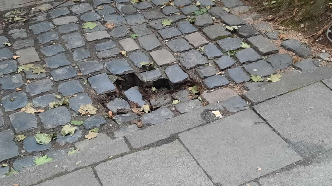Bild zu gemeldetem Anliegen vom *2025-08-29 06:34:46