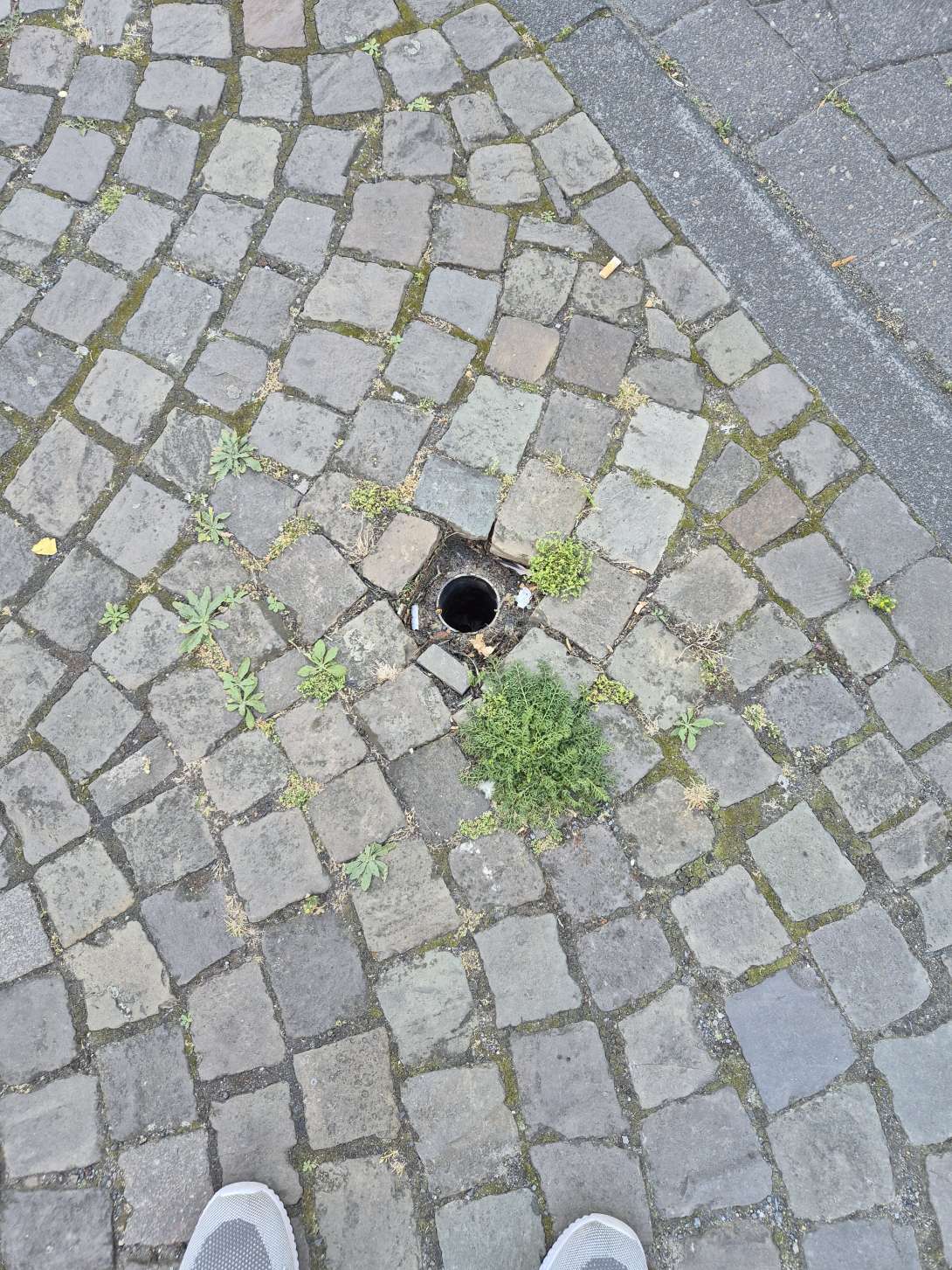 Bild zu gemeldetem Anliegen vom *2025-08-19 09:04:24