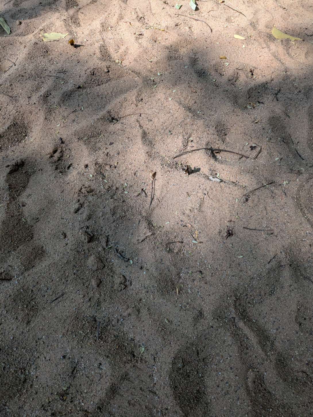 Bild zu gemeldetem Anliegen vom *2025-08-09 16:28:11