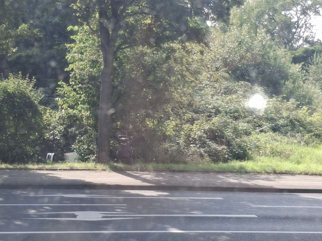 Bild zu gemeldetem Anliegen vom *2025-08-13 16:23:00