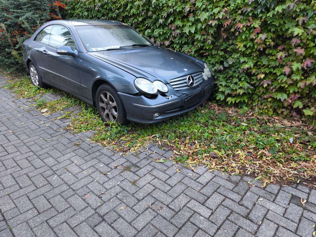 Bild zu gemeldetem Anliegen vom *2025-08-30 06:59:45