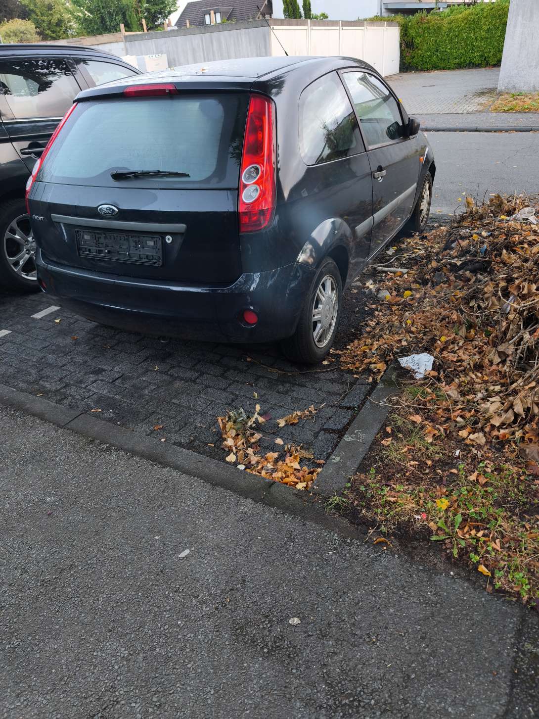 Bild zu gemeldetem Anliegen vom *2025-08-30 07:03:02