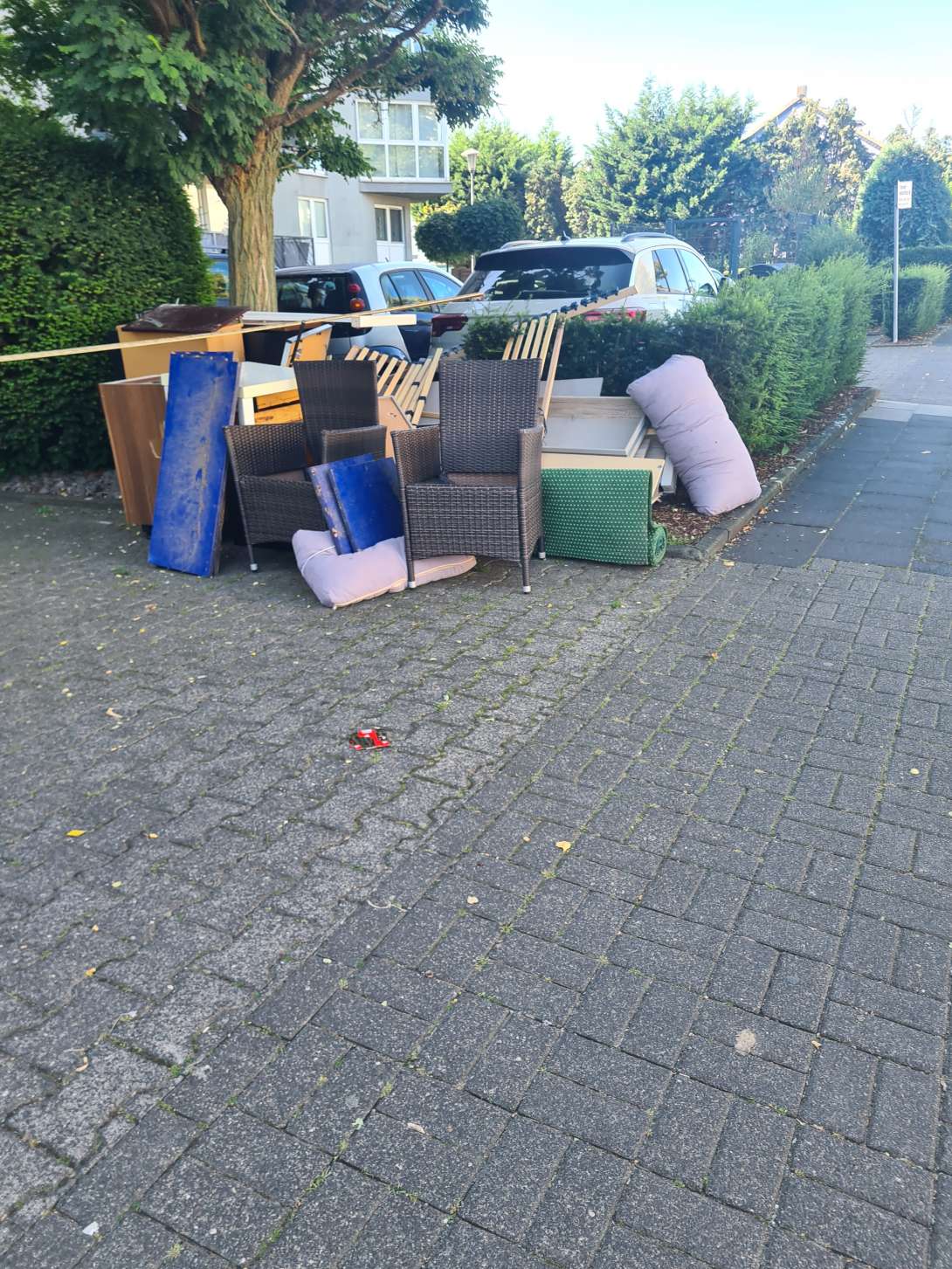 Bild zu gemeldetem Anliegen vom *2025-08-11 11:45:55