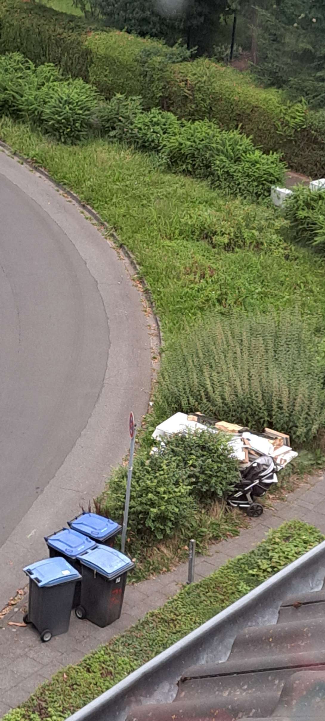 Bild zu gemeldetem Anliegen vom *2025-08-07 18:27:48