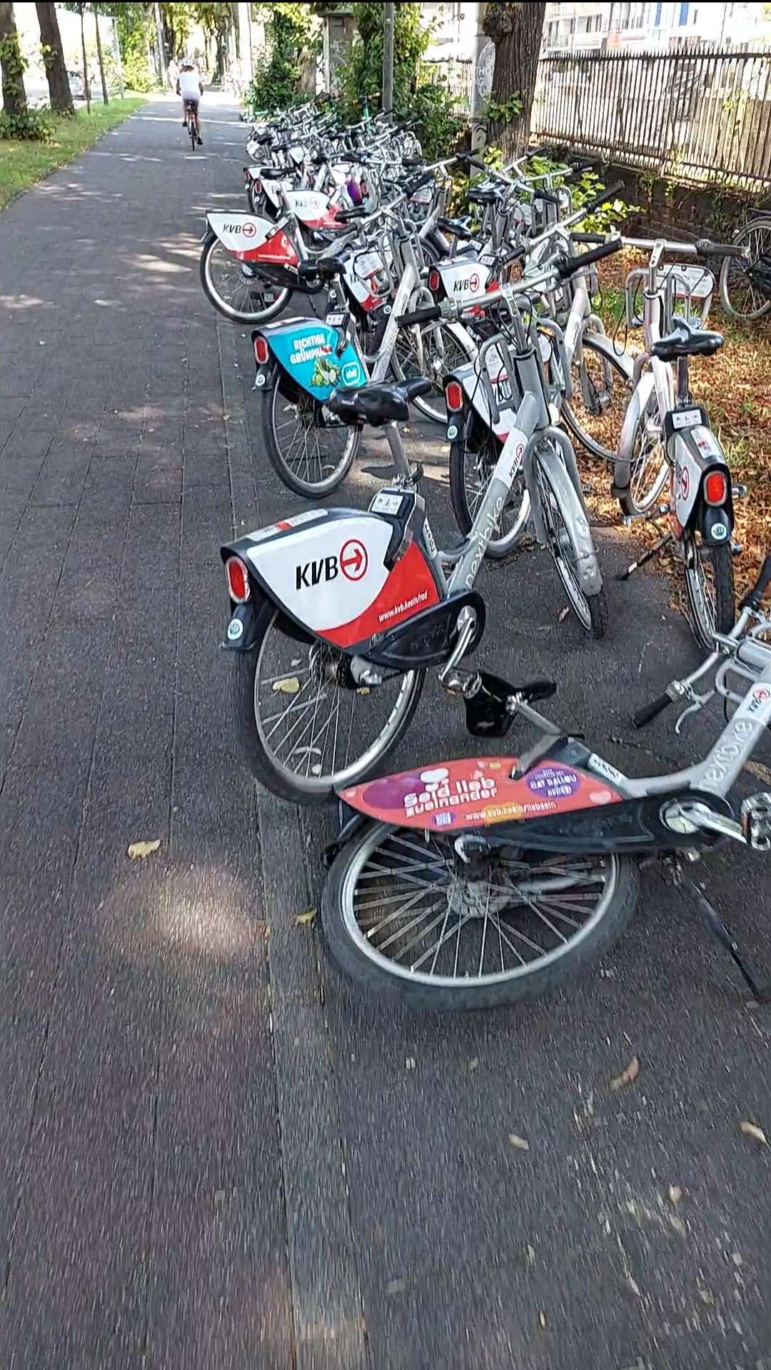 Bild zu gemeldetem Anliegen vom *2025-08-11 06:30:02