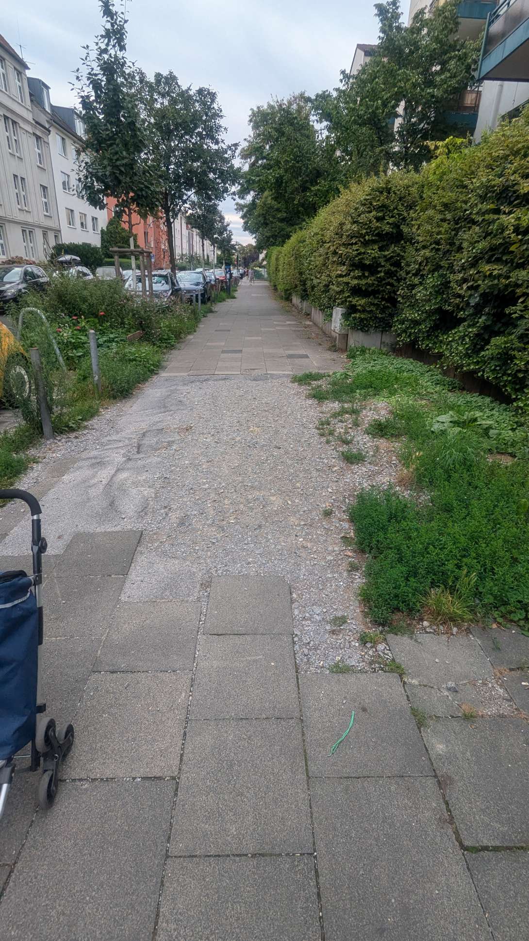 Bild zu gemeldetem Anliegen vom *2025-08-06 15:33:50