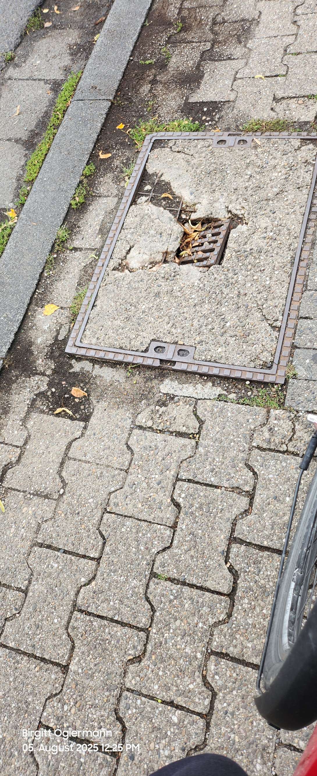 Bild zu gemeldetem Anliegen vom *2025-08-06 09:33:40