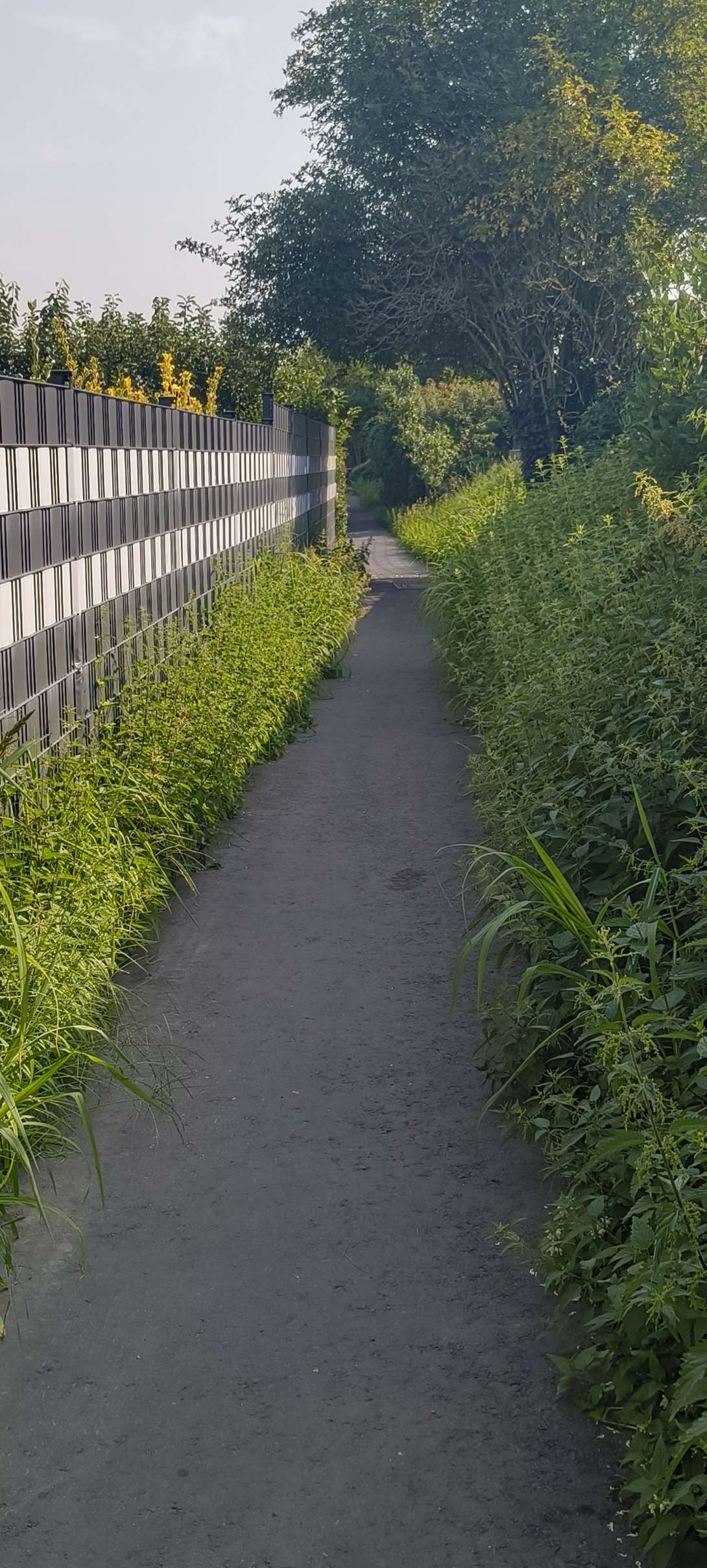 Bild zu gemeldetem Anliegen vom *2025-08-14 10:42:57