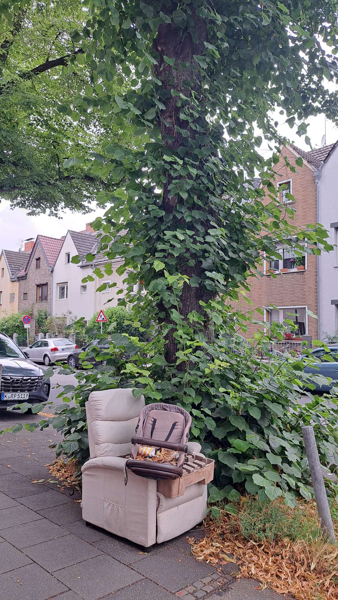 Bild zu gemeldetem Anliegen vom *2025-08-04 09:34:40