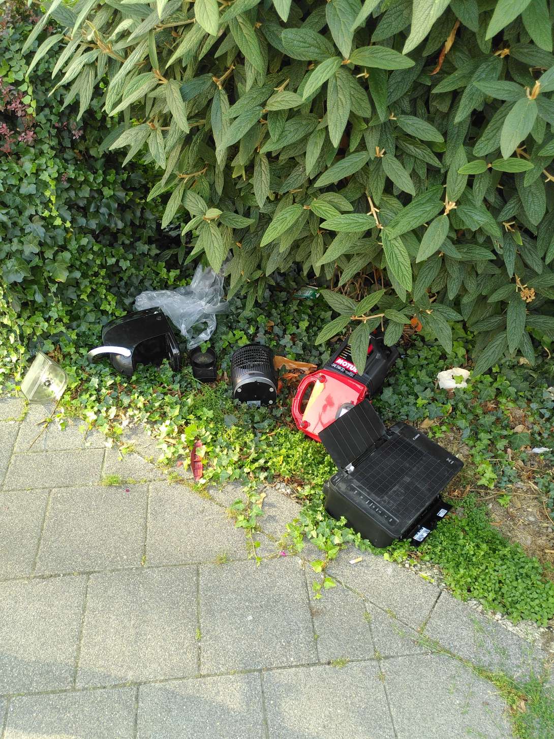 Bild zu gemeldetem Anliegen vom *2025-08-13 15:33:18