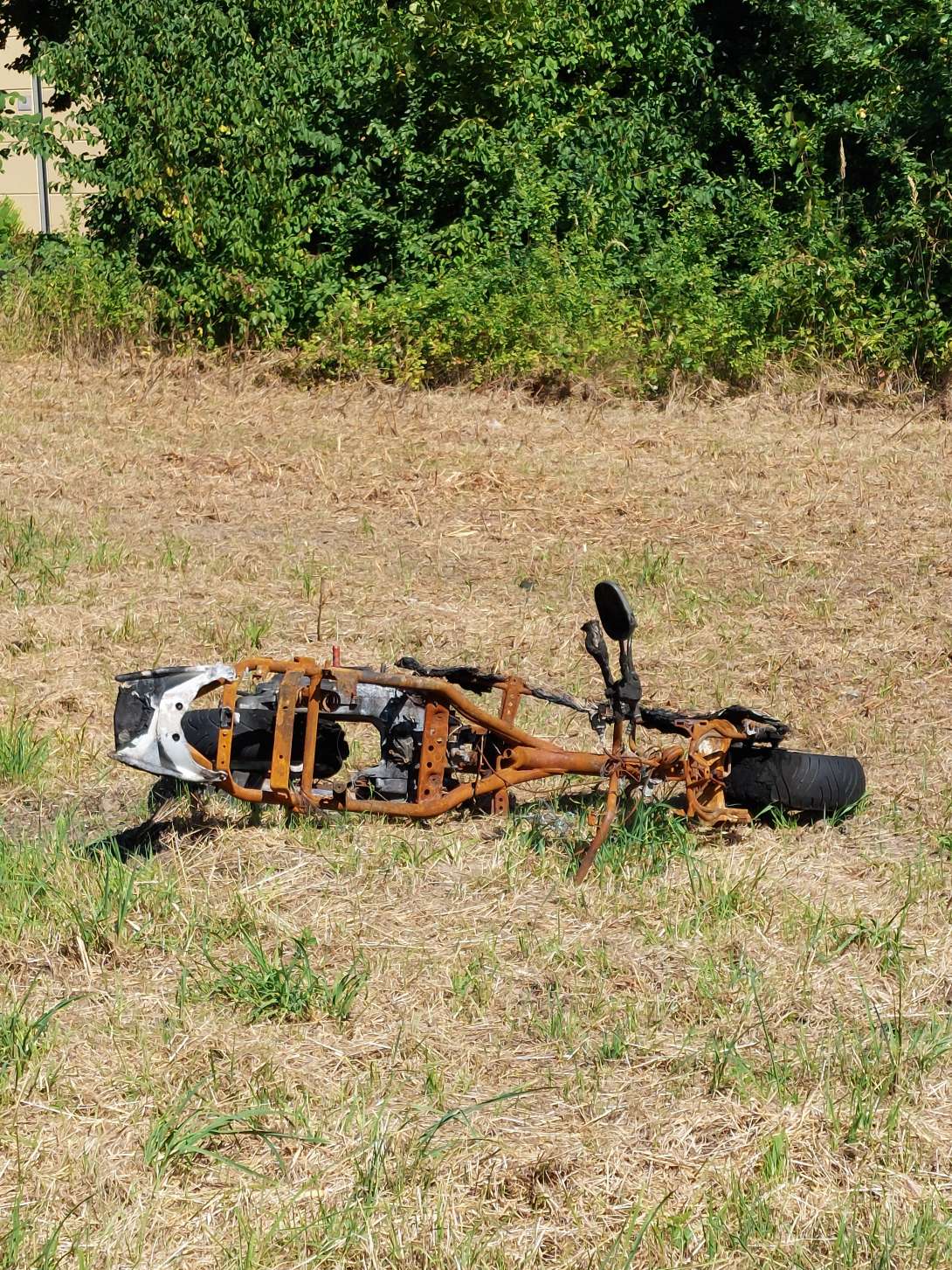 Bild zu gemeldetem Anliegen vom *2025-08-18 15:21:59