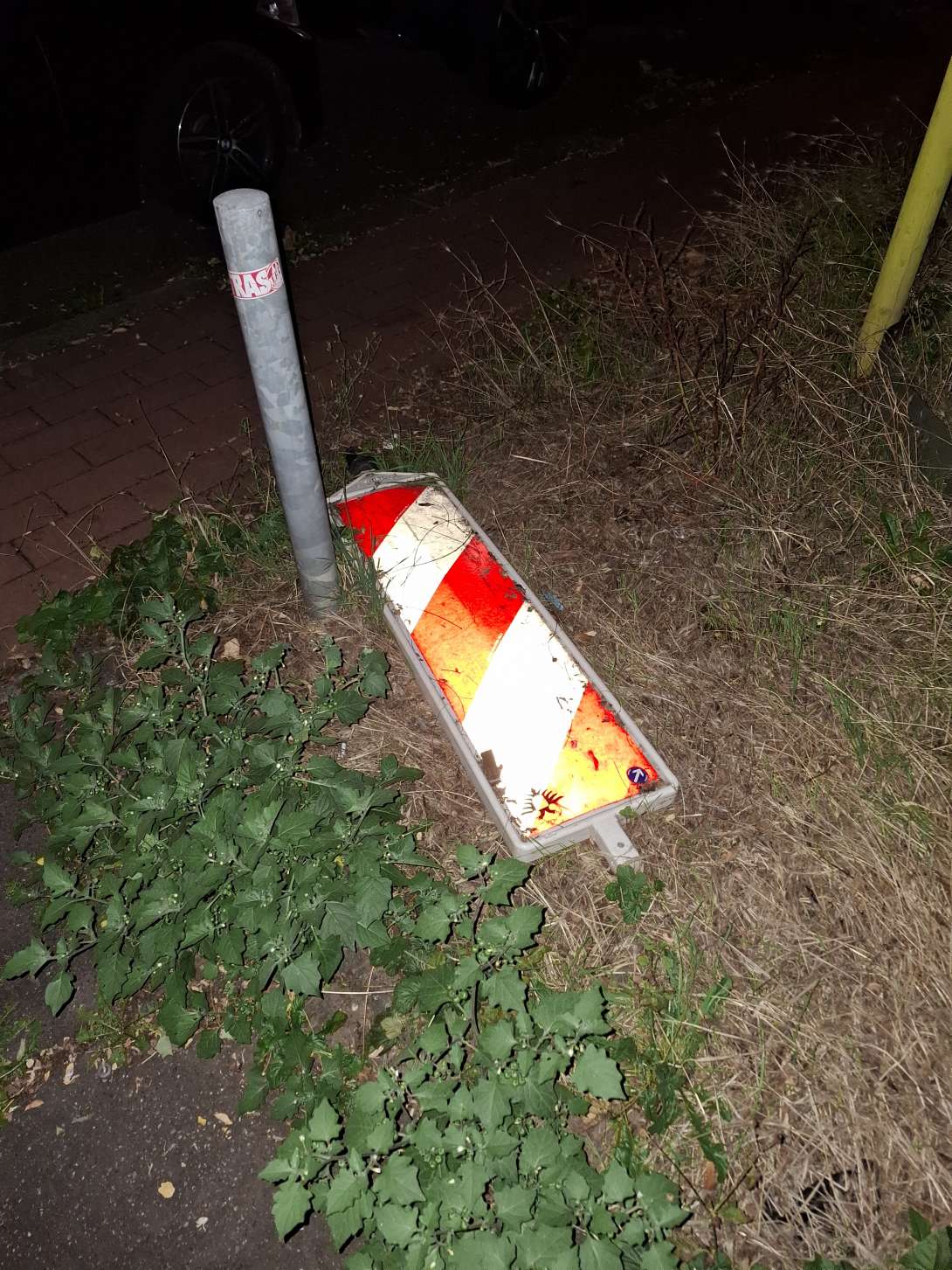 Bild zu gemeldetem Anliegen vom *2025-08-11 06:10:50