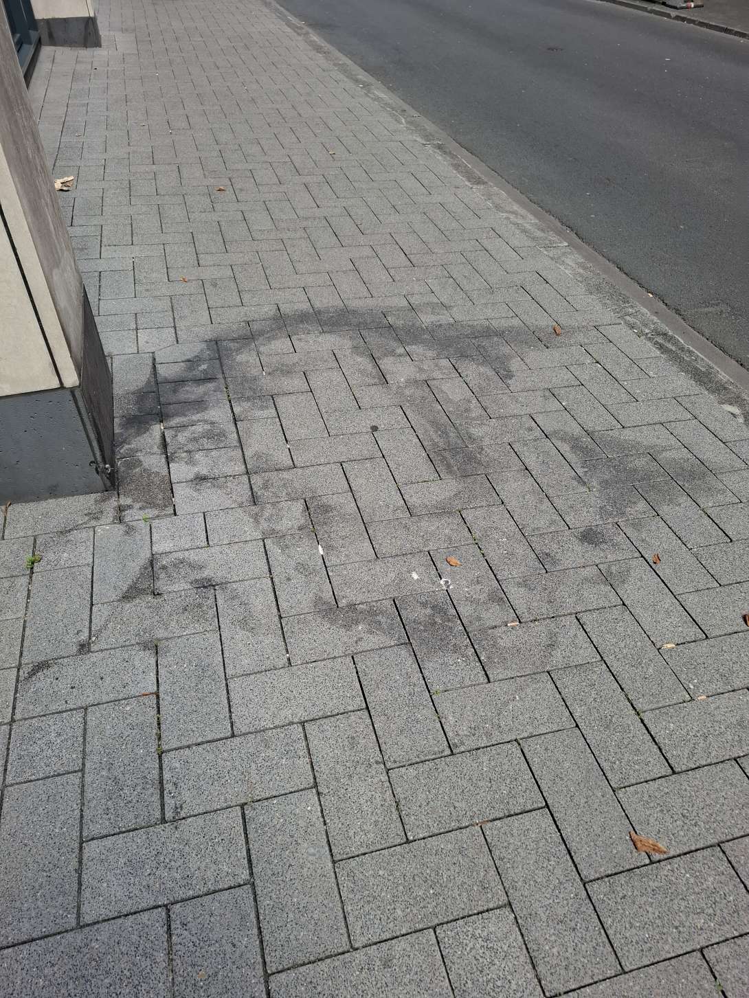 Bild zu gemeldetem Anliegen vom *2025-08-12 13:32:30