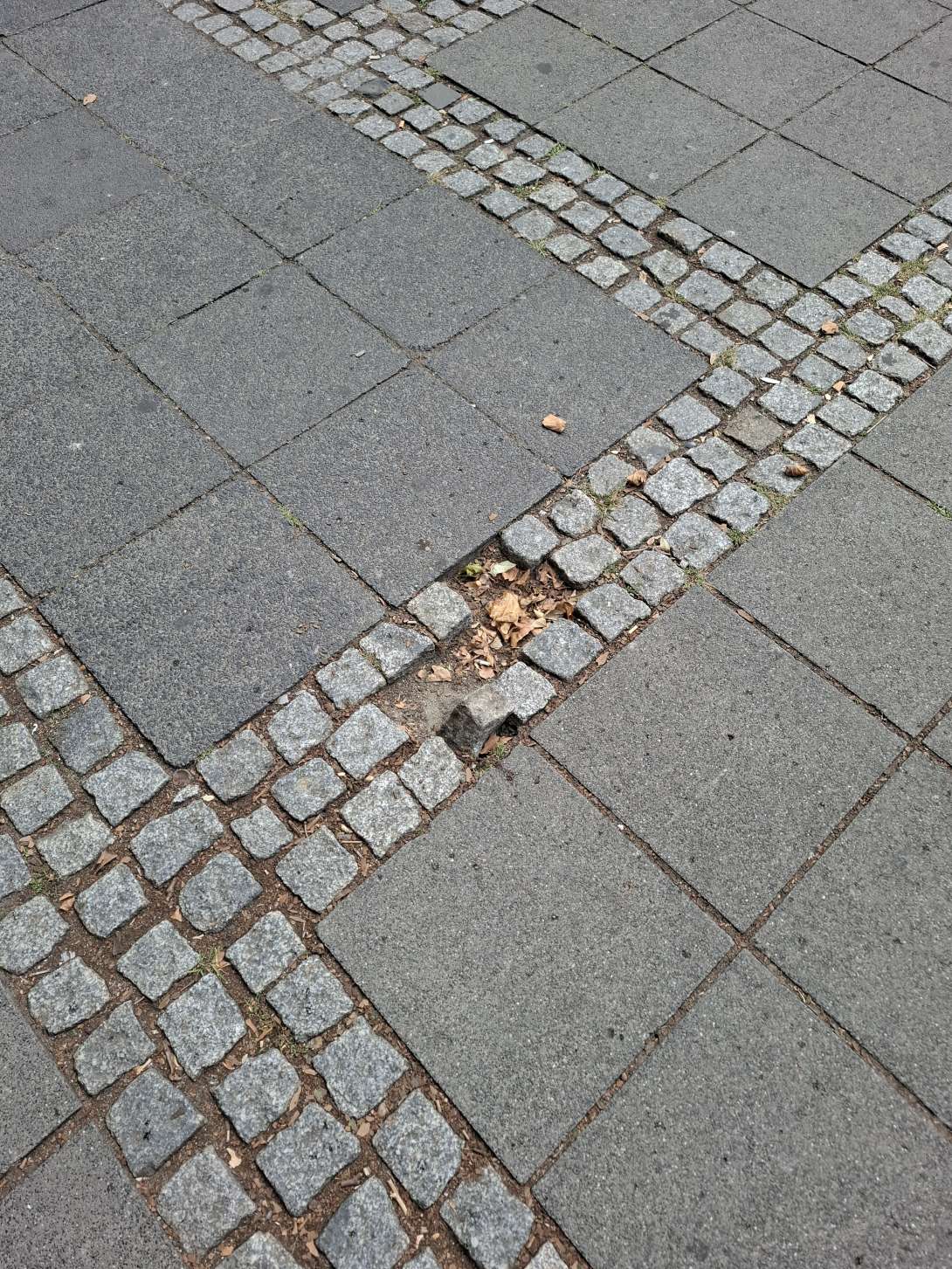 Bild zu gemeldetem Anliegen vom *2025-08-12 12:31:30