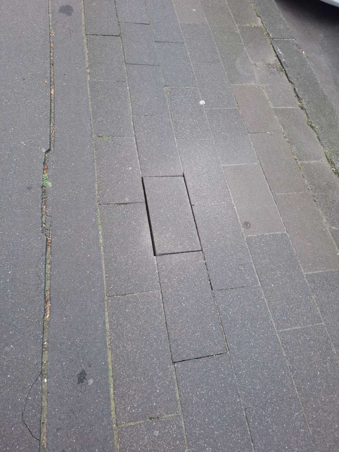 Bild zu gemeldetem Anliegen vom *2025-08-12 19:13:46