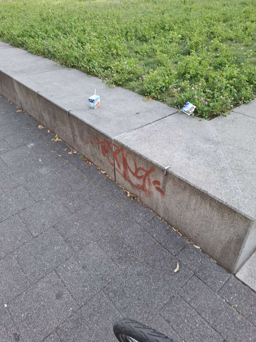 Bild zu gemeldetem Anliegen vom *2025-08-12 19:17:40