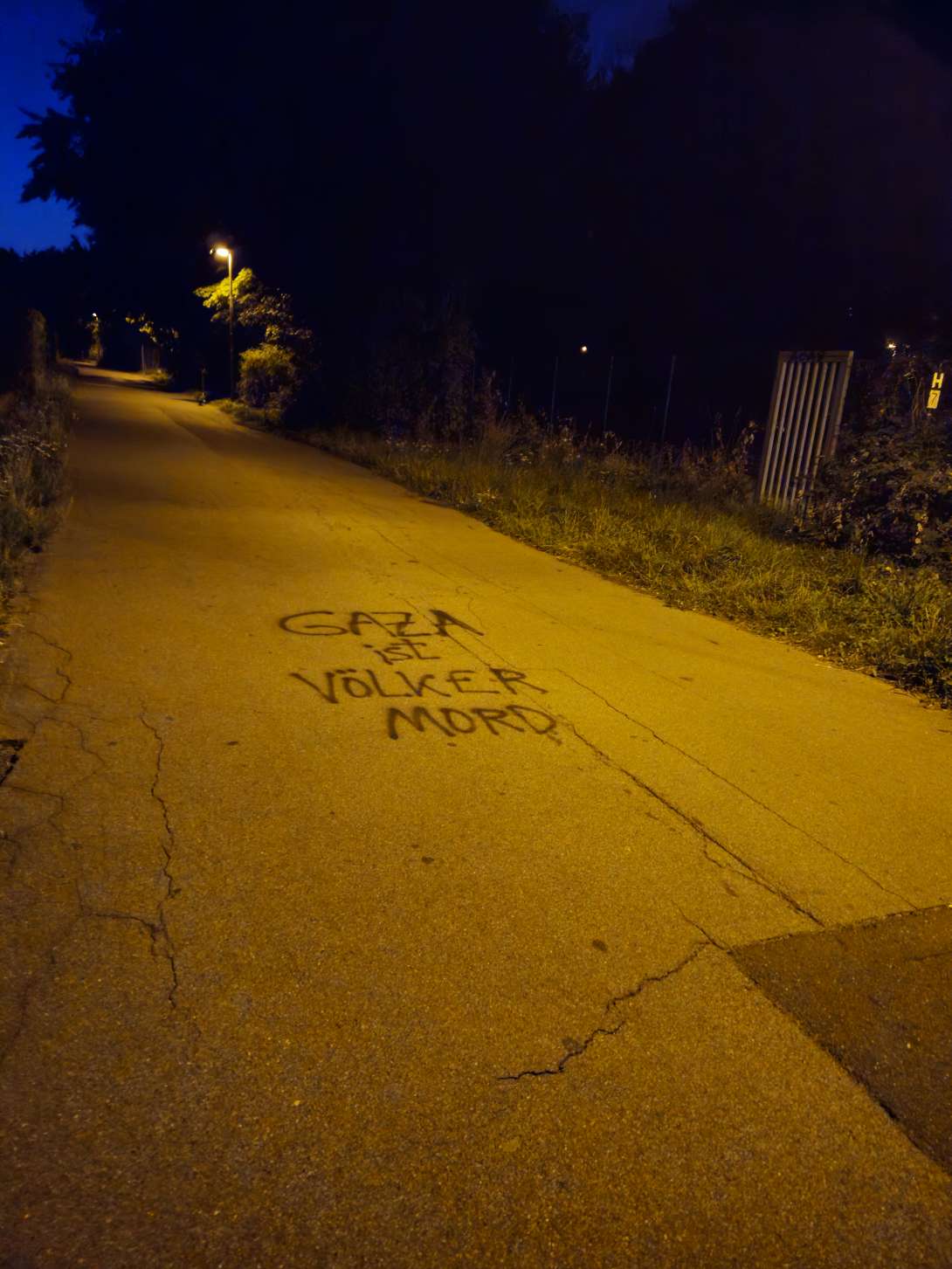 Bild zu gemeldetem Anliegen vom *2025-08-13 03:27:08
