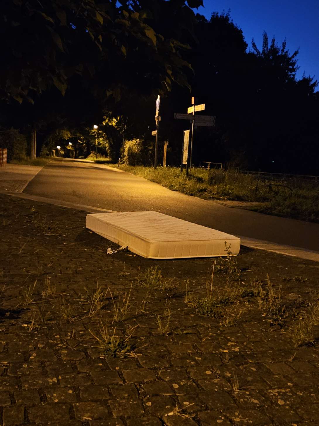 Bild zu gemeldetem Anliegen vom *2025-08-13 05:37:48