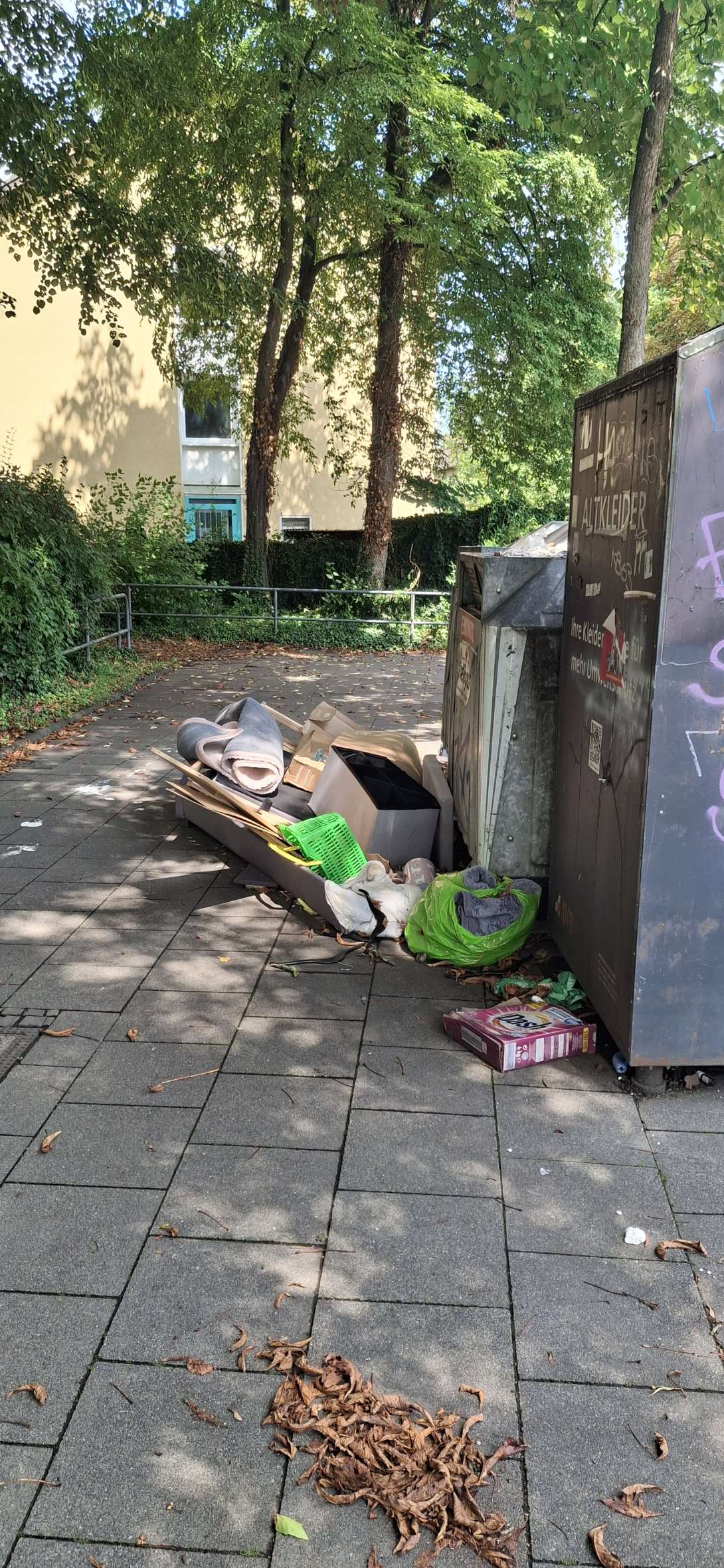 Bild zu gemeldetem Anliegen vom *2025-08-05 14:55:37